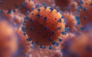 Covid-19: nova variante detectada em 23 países possui maior escape imunológico