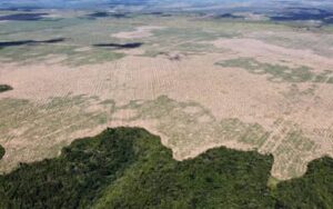 FPA pede adiamento das novas regras ambientais de financiamento no campo