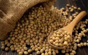 SOJA E TRIGO: confira preços dos grãos nas principais praças do país, nesta sexta-feira (24)