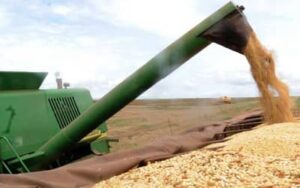 Agronegócio responde por 45,7% das exportações brasileiras e cresce 14% em junho