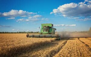 Agronegócio: safra de grãos 24/25 projeta recorde de 332,9 milhões de toneladas