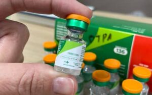 COQUELUCHE: Nordeste já registra 187 casos da doença em 2025
