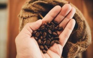 Café arábica tem alta no preço nesta sexta-feira (1º)
