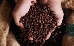 Cotações do café, açúcar e milho para esta quarta-feira (18)