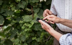 Expansão do 4G no campo: Maranhão soma 26 localidades conectadas