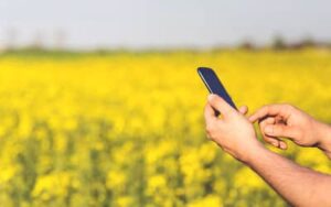 Expansão do 4G no campo: Tocantins soma mais 23 localidades conectadas