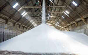 Fábrica de fertilizantes da Bahia é reativada e deve atender 5% da demanda nacional