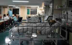 InfoGripe: doenças respiratórias seguem em alta em todas as faixas etárias
