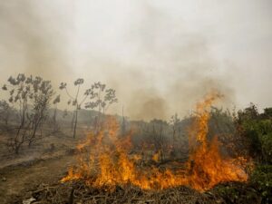 Brasil registra quase 30 mil focos de incêndio em 2026; aumento de temperatura levanta alerta de risco para Amazônia, Cerrado e Caatinga