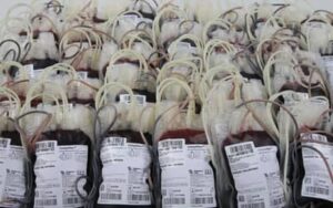 Mar Vermelho? Novas regras para doadores de sangue exigem adaptações de municípios